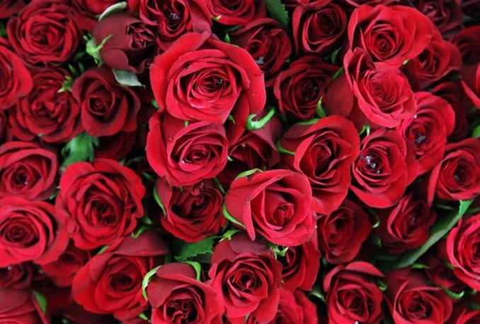 Običaji za Valentinovo širom svijeta