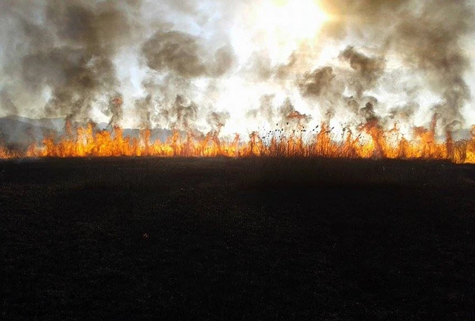 Hutovo blato: Vatrogasci se nekoliko sati borili s požarom