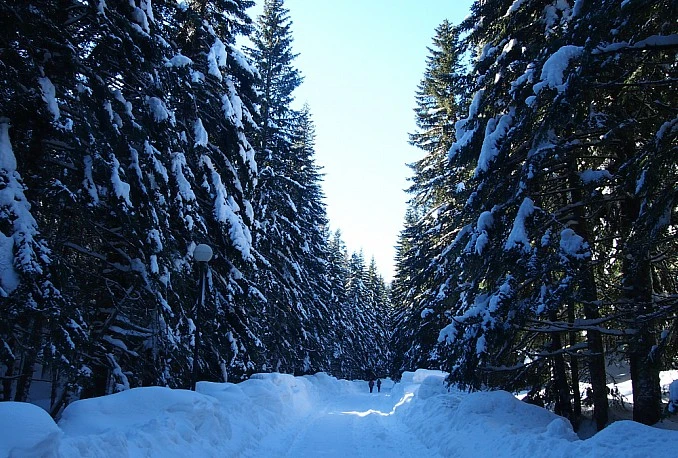 Građanima preporučeno da zbog najavljenog nevremena pripreme zalihe hrane, vode i lijekova
