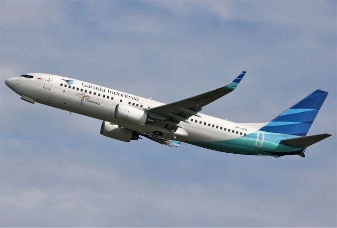 Avion sa 156 putnika kasnio četiri sata zbog pčele koja je ušla u letjelicu