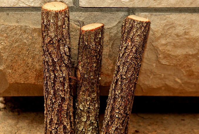 Tradicija i priprema za Božić: Na dobro Vam došao Badnji dan
