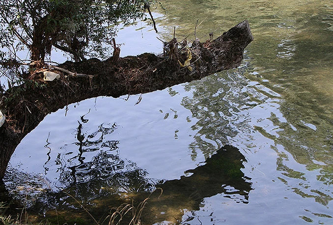 Velika utrka za Bunicu