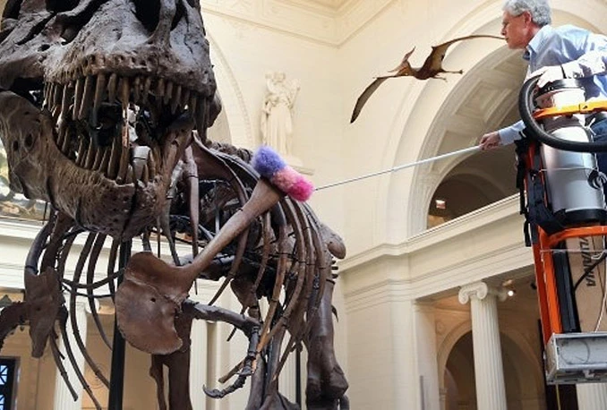 T-Rex seli u Berlin