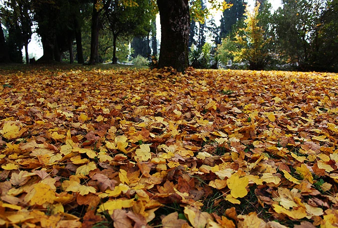 Pogledajte kakvo nas vrijeme očekuje ovoga tjedna