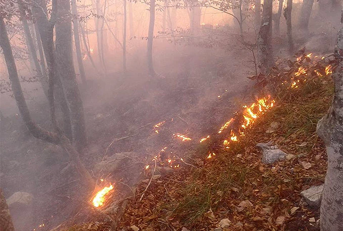 Požari u Konjicu ugašeni