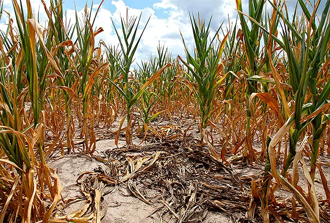 Klimatske promjene u ekstremno siromaštvo odvest će 100 milijuna ljudi