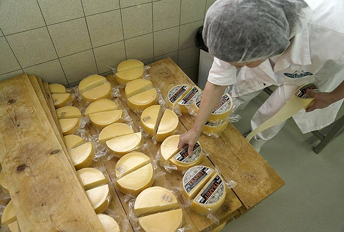 Mljekara iz Livna prva izašla na tržište Europske unije