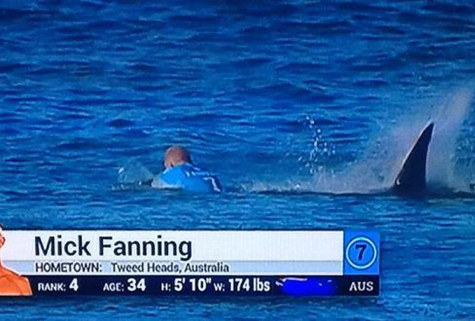 Australija će dronovima braniti kupače od morskih pasa