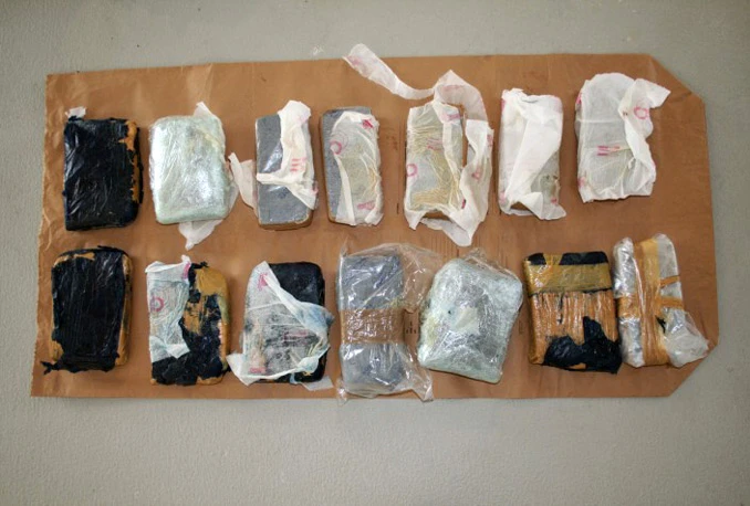 Policije Hrvatske i Crne Gore provele akciju: Privedeno 29 osoba, zapljena 30 kg različitih droga