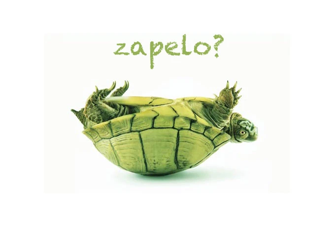 Rad Vlade HBŽ zapeo na prvom koraku