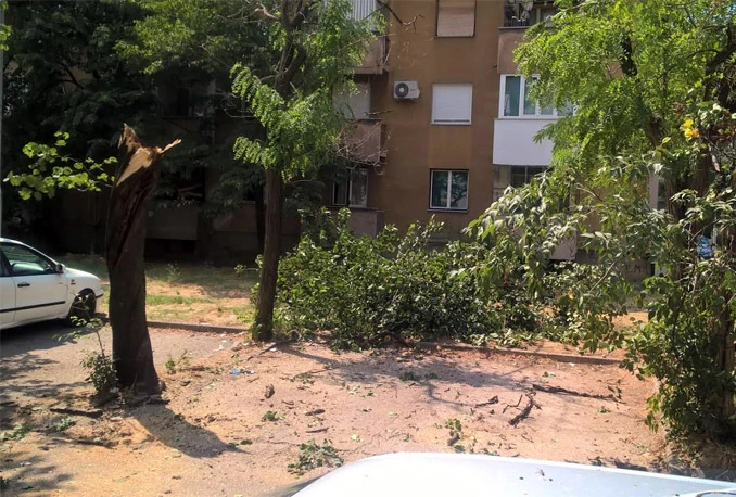 Peh u Mostaru: Stablo palo drugi put po istom automobilu
