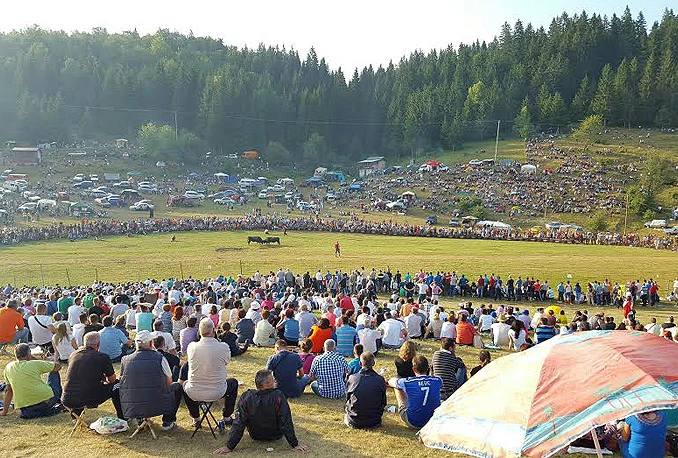 Fešta godine za sve Bosance i Hercegovce