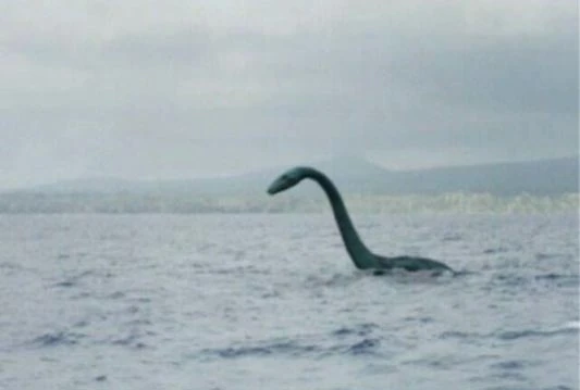 Istraživač otkrio: Nessie nije čudovište nego divovski som