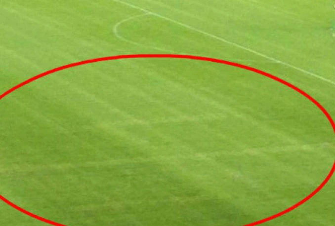 Snimljeni crtači svastike na Poljudu