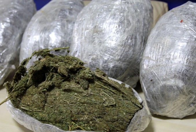 Policija zaplijenila 48 tona hašiša