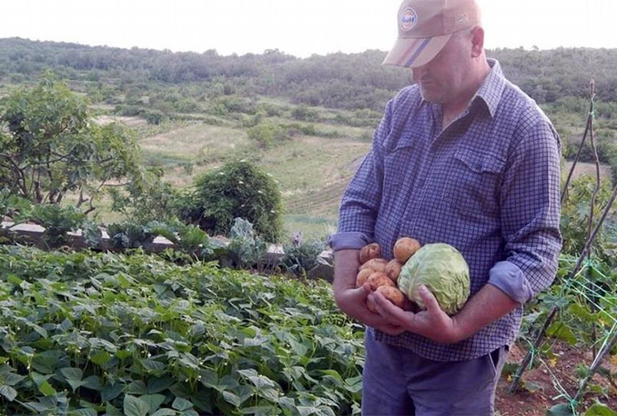 Hercegovački poljoprivrednici na izdisaju: Mukotrpan rad ni za kakvu zaradu