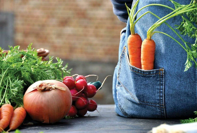 Besplatna edukacija za mlade nezaposlene agronome u Mostaru