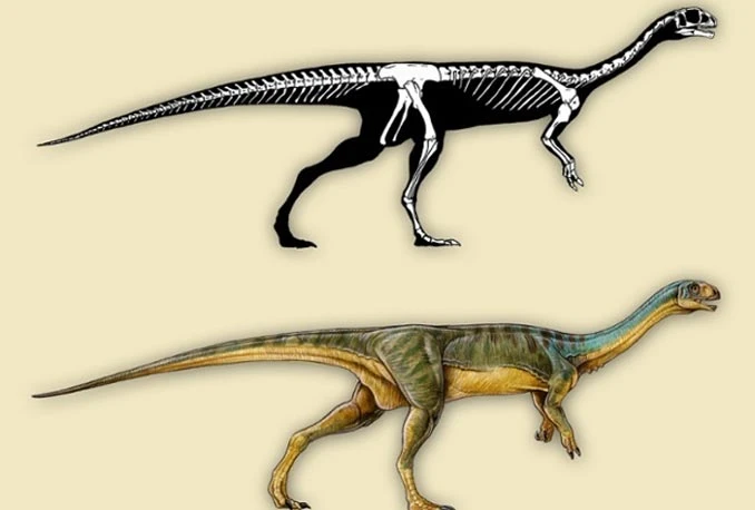 Chilesaurus Diegosuarezi: Novi dinosaur zbunjuje znanstvenike