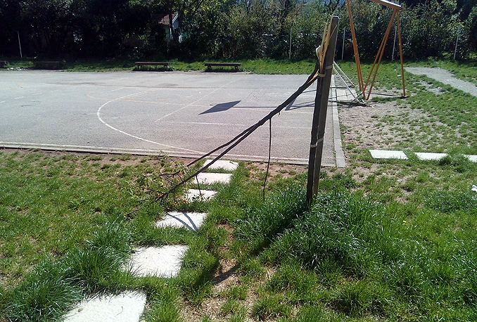 Drvo palo pod naletom energije mostarskih noćnih ptica