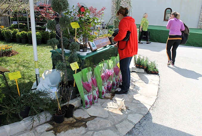 Održan FloraHerc: Prvi sajam cvijeća u Hercegovini