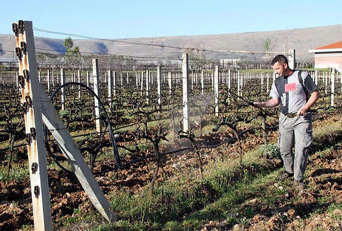 Aluminij oživljava plastenike, voćnjake i vinograde