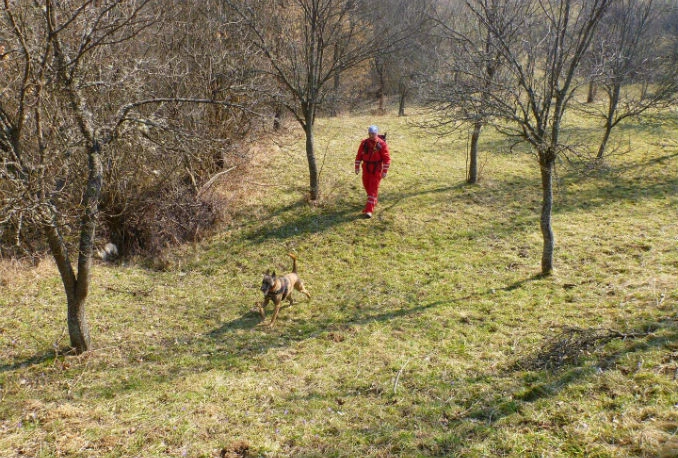Peti dan potrage za nestalom ženom kod Donjeg Vakufa