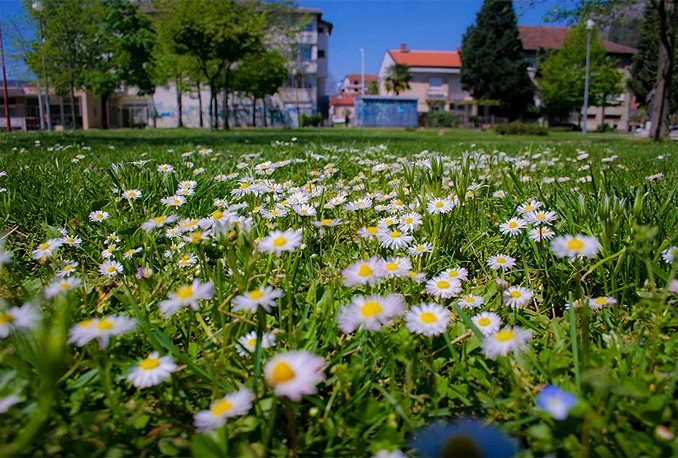 Stiglo proljeće