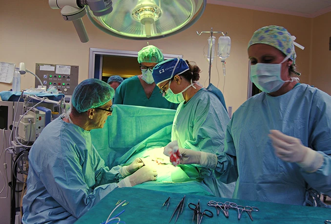 Doktori šokirani otkrićem: Svi ćemo pomrijeti zbog korupcije