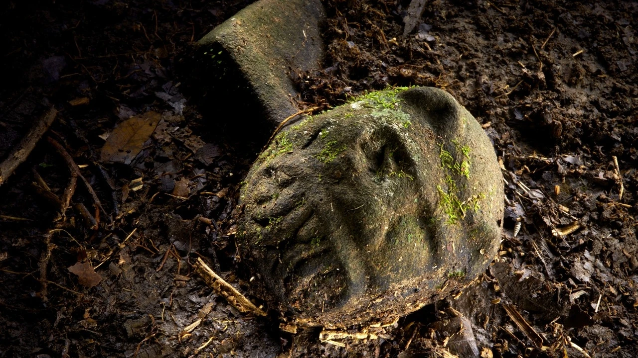 Otkriven misteriozni grad u šumama Hondurasa