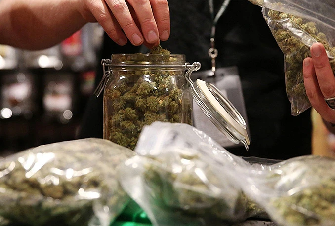 Mostarski studenti za legalizaciju marihuane