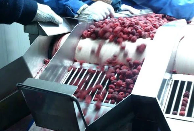 Bosanskohercegovačke maline u Japanu