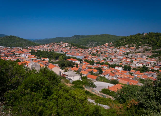 Otvorena izložba 'Razglednice iz zemlje safari'