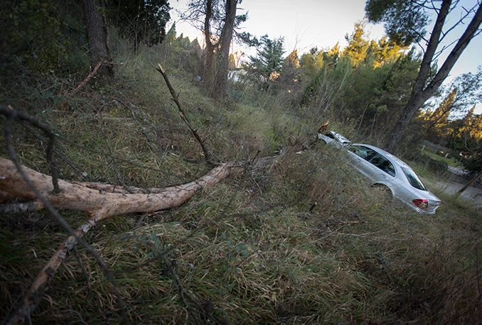 Mercedeseom oborio drvo na Bijelom Brijegu