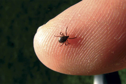 Otkriven novi tajanstveni virus koji je prije pola godine ubio prvu žrtvu