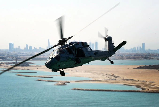 Pao američki Seahawk