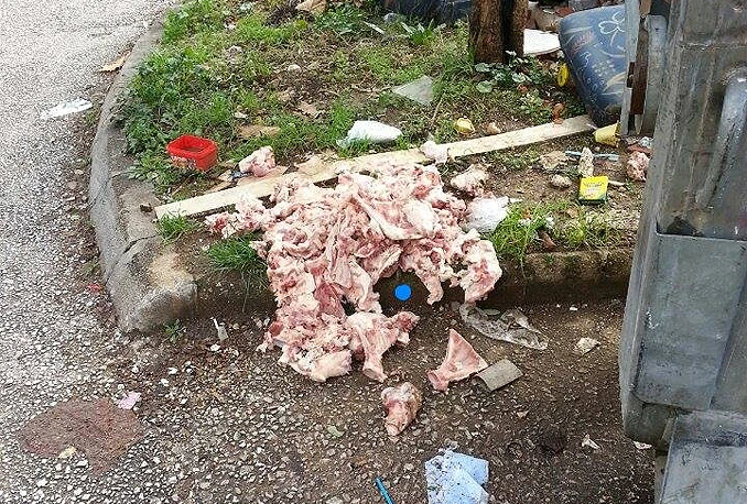 Još jedna prljava razglednica: Meso uzeli, kosti bacili