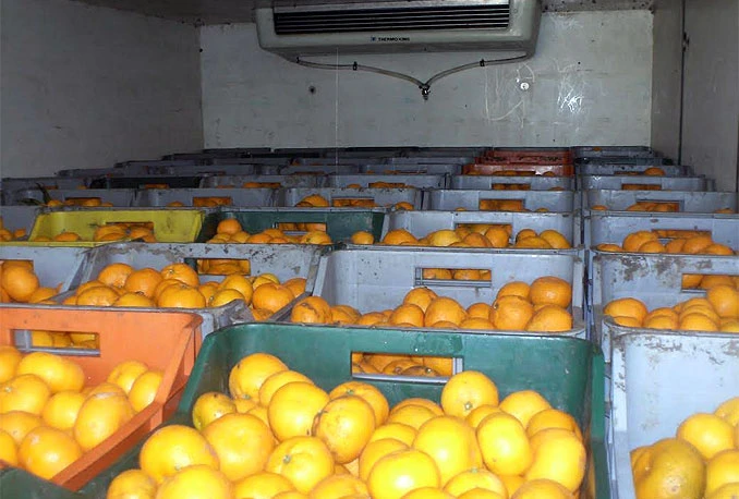 Palo 13 tona mandarina na granici s BiH