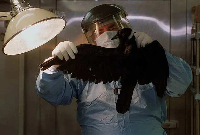 Sarajevski veterinari i dalje u štrajku - nisu primili plaću od svibnja