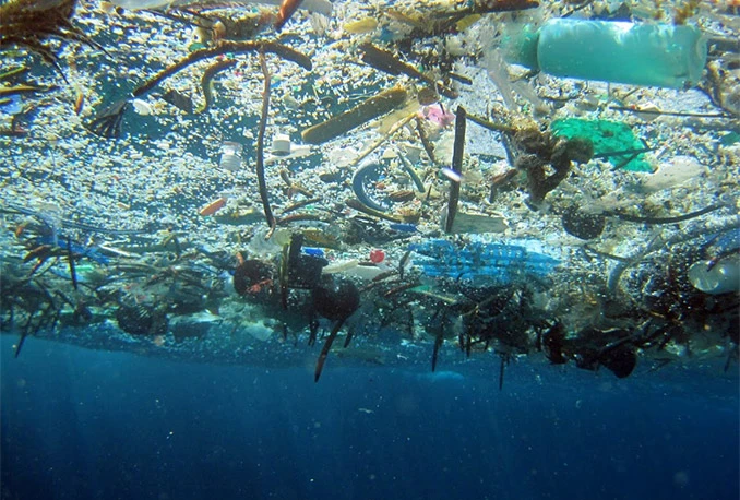 'Sedmi kontinent' pluta oceanima i smrtonosan je za životinje