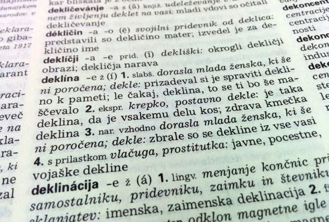 Kul, bejba i tajkun nove slovenske riječi