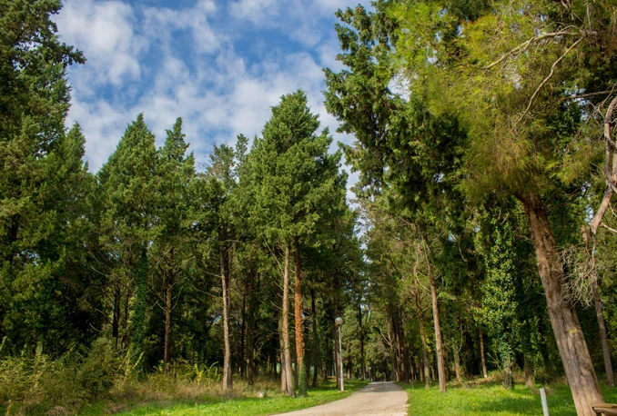 WWF: Osniva se asocijacija ''Parkovi Dinarida'' kako bi se očuvala zaštićena područja