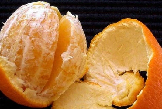 Egipat će hraniti Rusiju