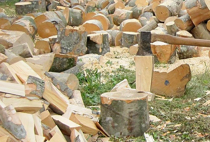 Šumama legao novac, a nisu mogle raditi