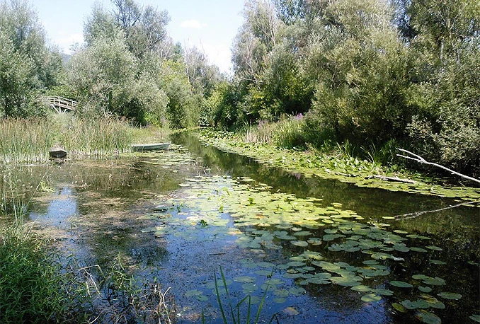 Neretva ugrožena hidroenergetskim projektima