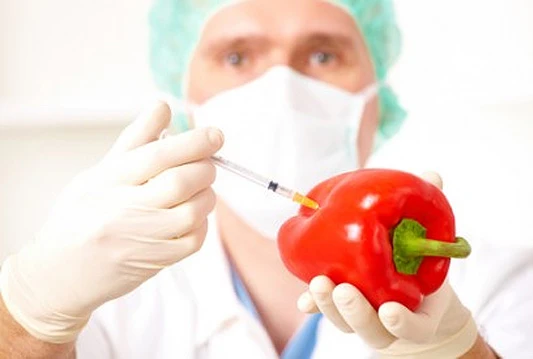 I BiH protiv GMO-a: Manifestacijom žele ukazati na problem korištenja GMO proizvoda