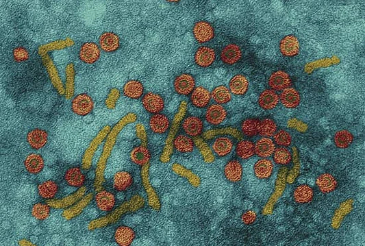 Svjetski dan borbe protiv hepatitisa