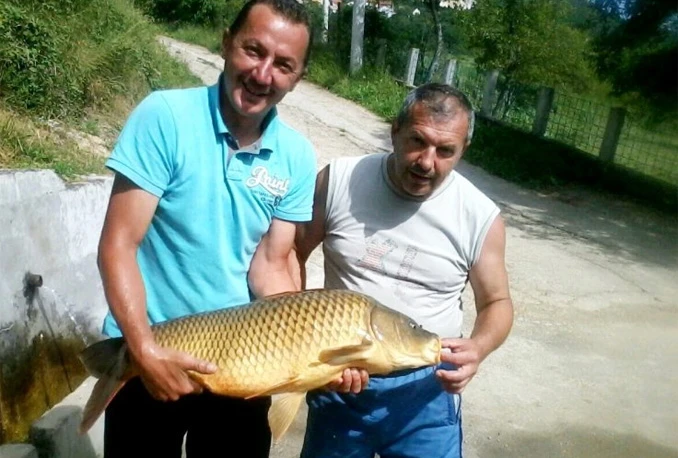 Kiseljačanin u Ramskom jezeru ulovio šarana teškog 11,5 kg