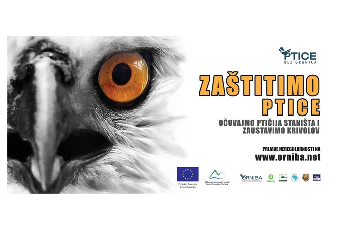 'Ptice bez granica' za spas Hutovog blata i Tivatskih solila