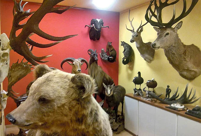 Inspektoru za umjetnine počinje suđenje zbog fotografija Vidoševićevog skladišta
