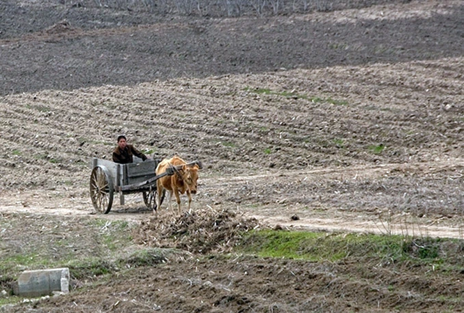 Velika suša pogodila Sjevernu Koreju